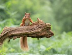 开云体育下载-赛道争锋，球场鏖战，硬仗中淬炼的辽宁之魂