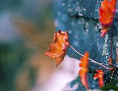 开云体育入口-世界排名争夺战之夜，黑马逆袭与布克那无法忽视的存在感