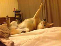 开云体育登录-尼日利亚制造蓝月风暴，罗德里一锤定音