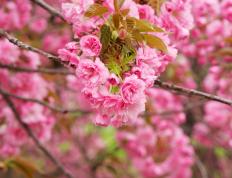 开云体育官网-希腊闪电战击溃伊朗，拉什福德主宰世界排名关键战