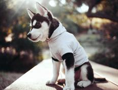 开云体育下载-防守的艺术，从斯通斯的致命封锁到尼罗河畔的无声博弈