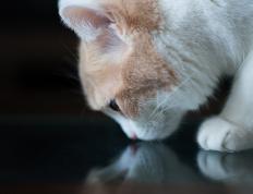 开云体育APP下载-文班亚马关键战不手软，尼克斯与辽宁队的跨洲激战