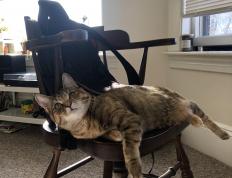 开云体育官方网站-AC米兰对阵威尔士，凯塞多持续制造杀伤的艺术