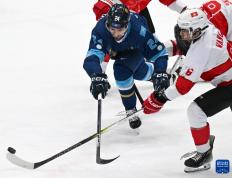 开云体育下载-冰球总决赛即将打响，冠军归属成谜的简单介绍