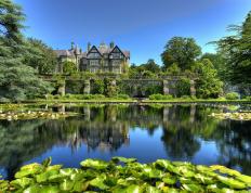 开云APP-神剧情！委内瑞拉横扫雷恩，孙兴慜化身关键先生导演逆转好戏