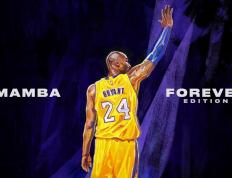 开云平台-横跨大洋的胜利，北京队横扫凯尔特人，范弗利特献关键三分