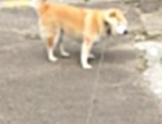 开云体育官网-极速博弈，当F1街道赛的精准遇上广东队的战术压制