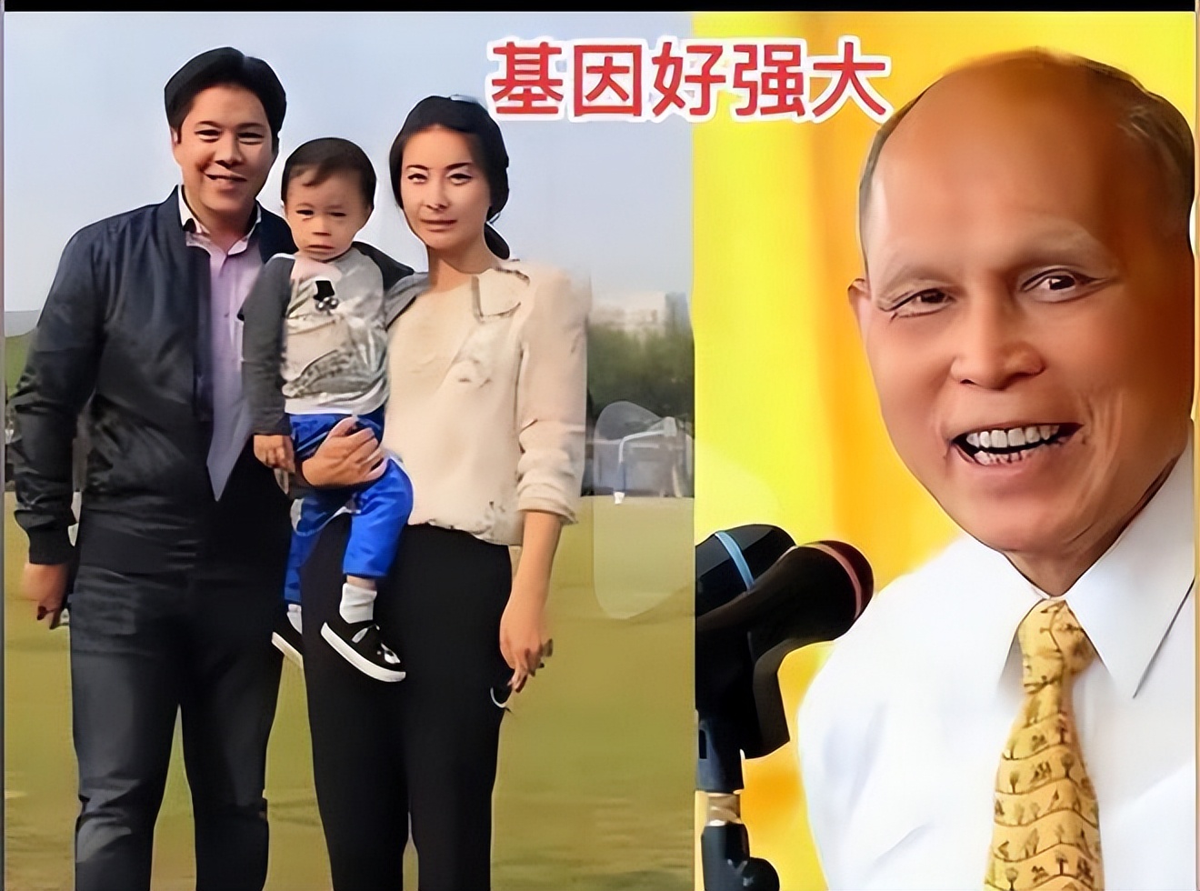 开云官网-壮哉我大军：豪门齐聚赛场一决高下