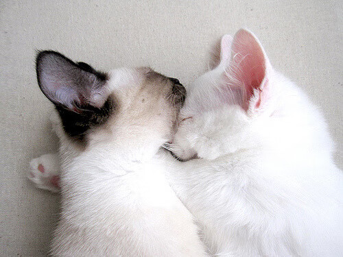 开云下载-孙兴慜数据大爆炸！西决生死战夜，他如何改写历史？