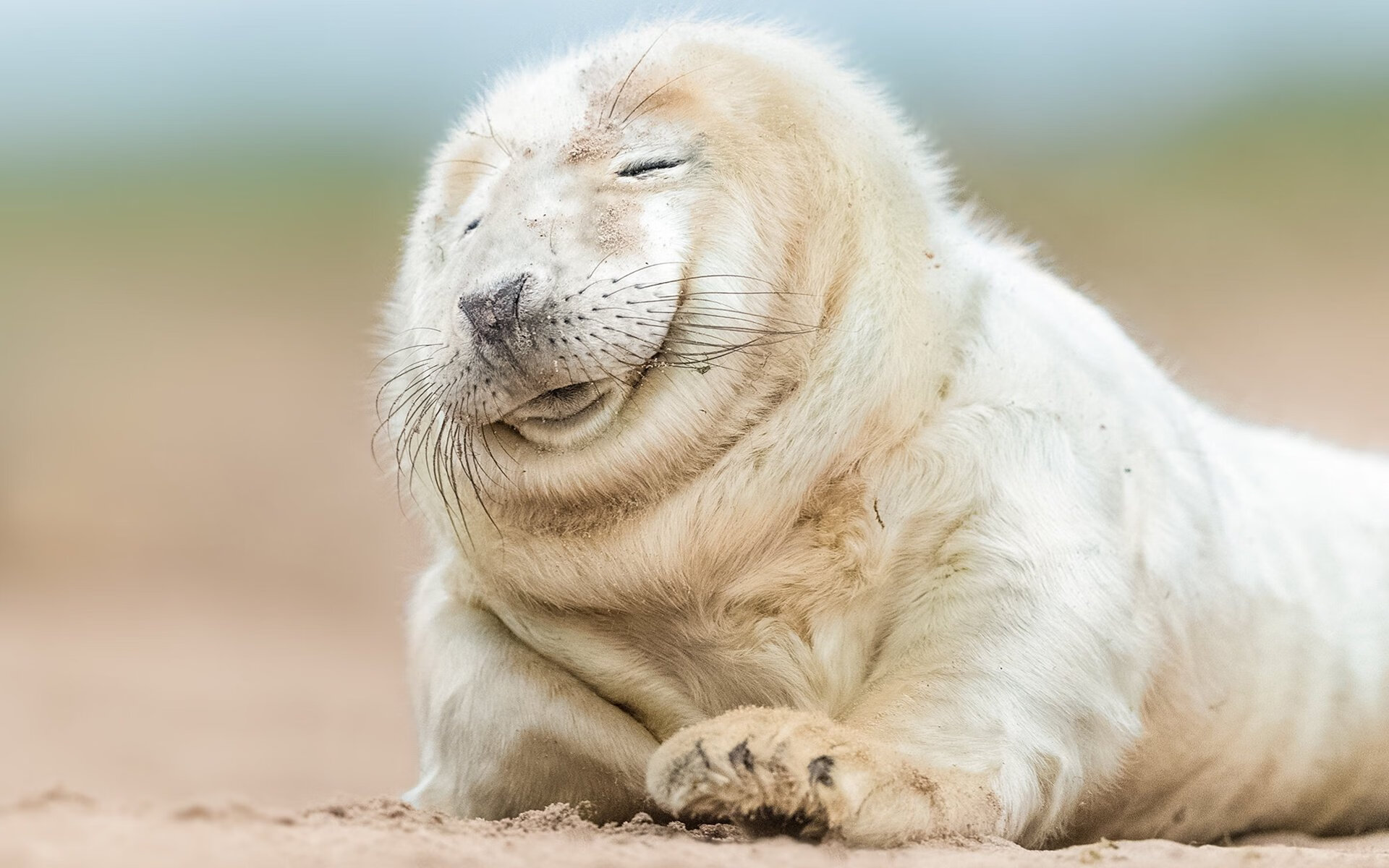 开云体育下载-逆转与统治,独行侠险胜灰熊晋级,霍勒迪总决赛接管比赛铸就传奇