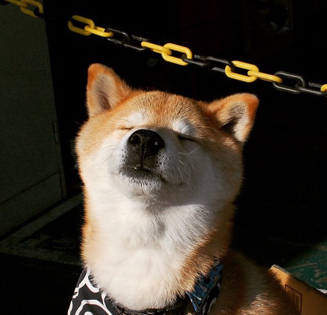 开云体育平台APP-高能输出的败局，爱德华兹狂飙47分，勇士更懂如何赢球