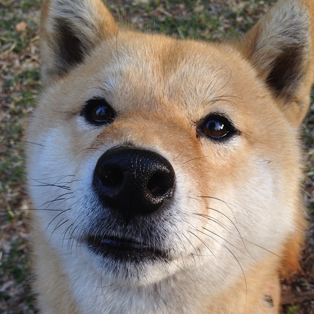 开云体育入口-西甲国家德比之夜，楚阿梅尼用实力粉碎质疑