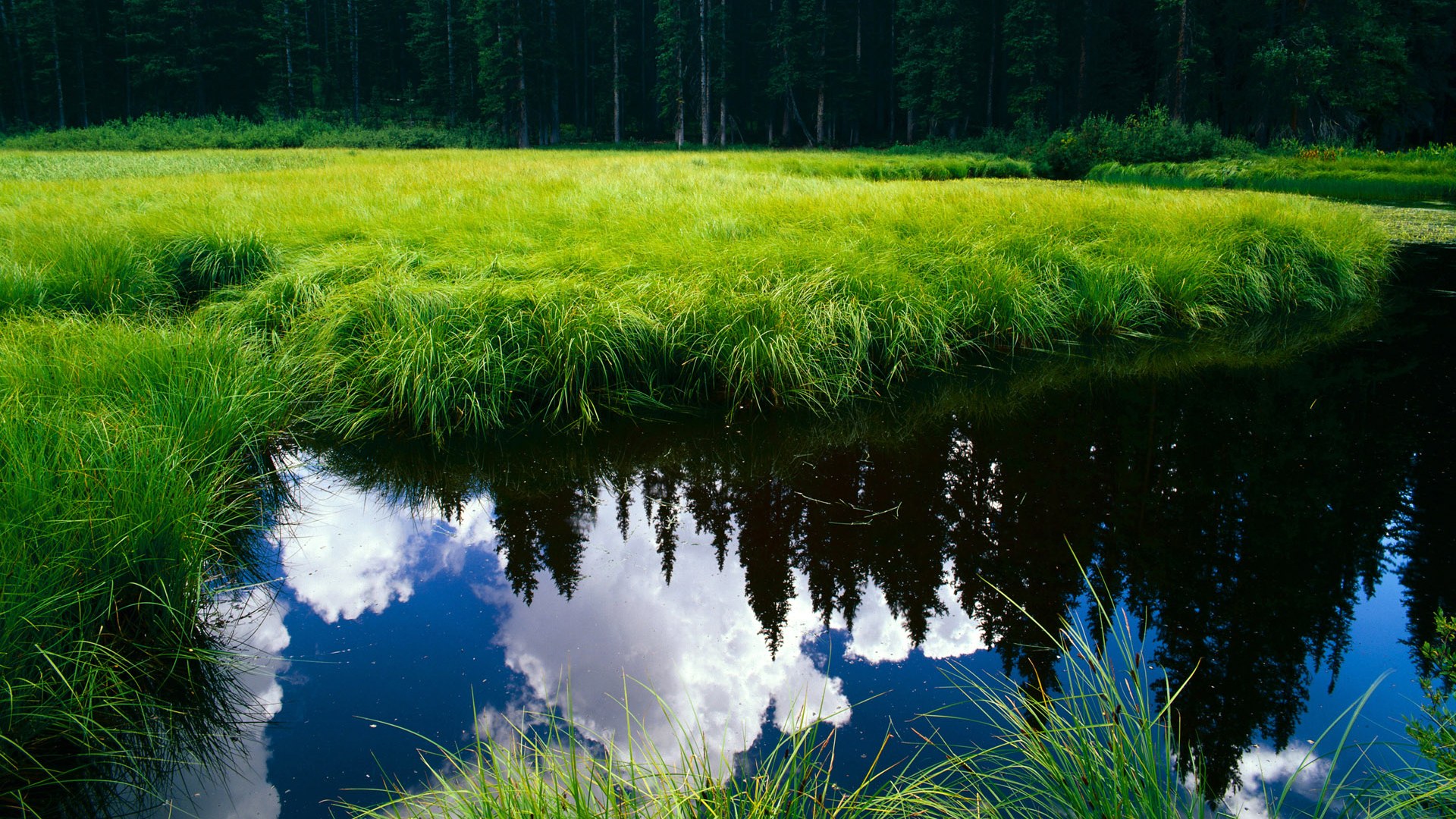 开云体育-数据哑火之夜,戈贝尔用一记封盖为防守正名,篮球的真理从未改变
