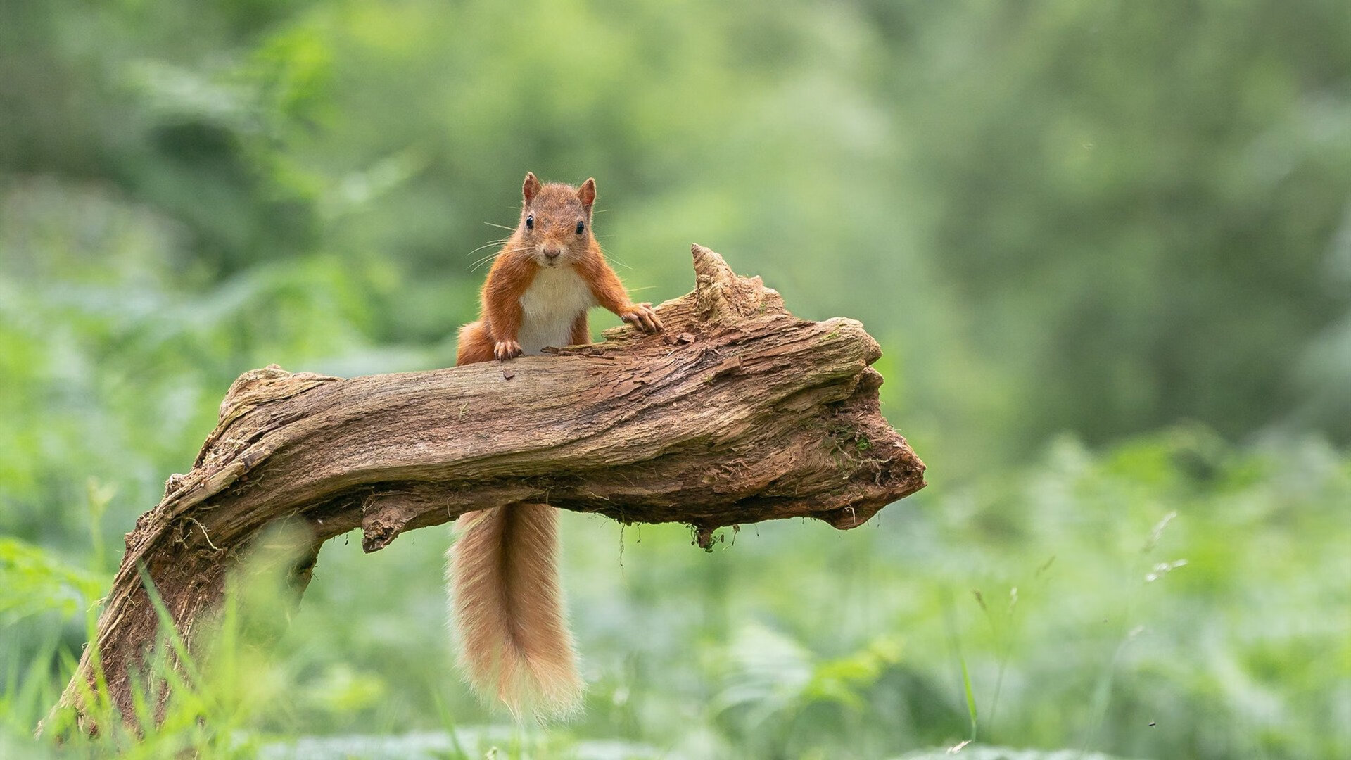 开云体育下载-赛道争锋,球场鏖战,硬仗中淬炼的辽宁之魂