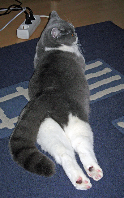 开云体育登录-跨界救赎，当伦纳德降临欧冠决赛之夜