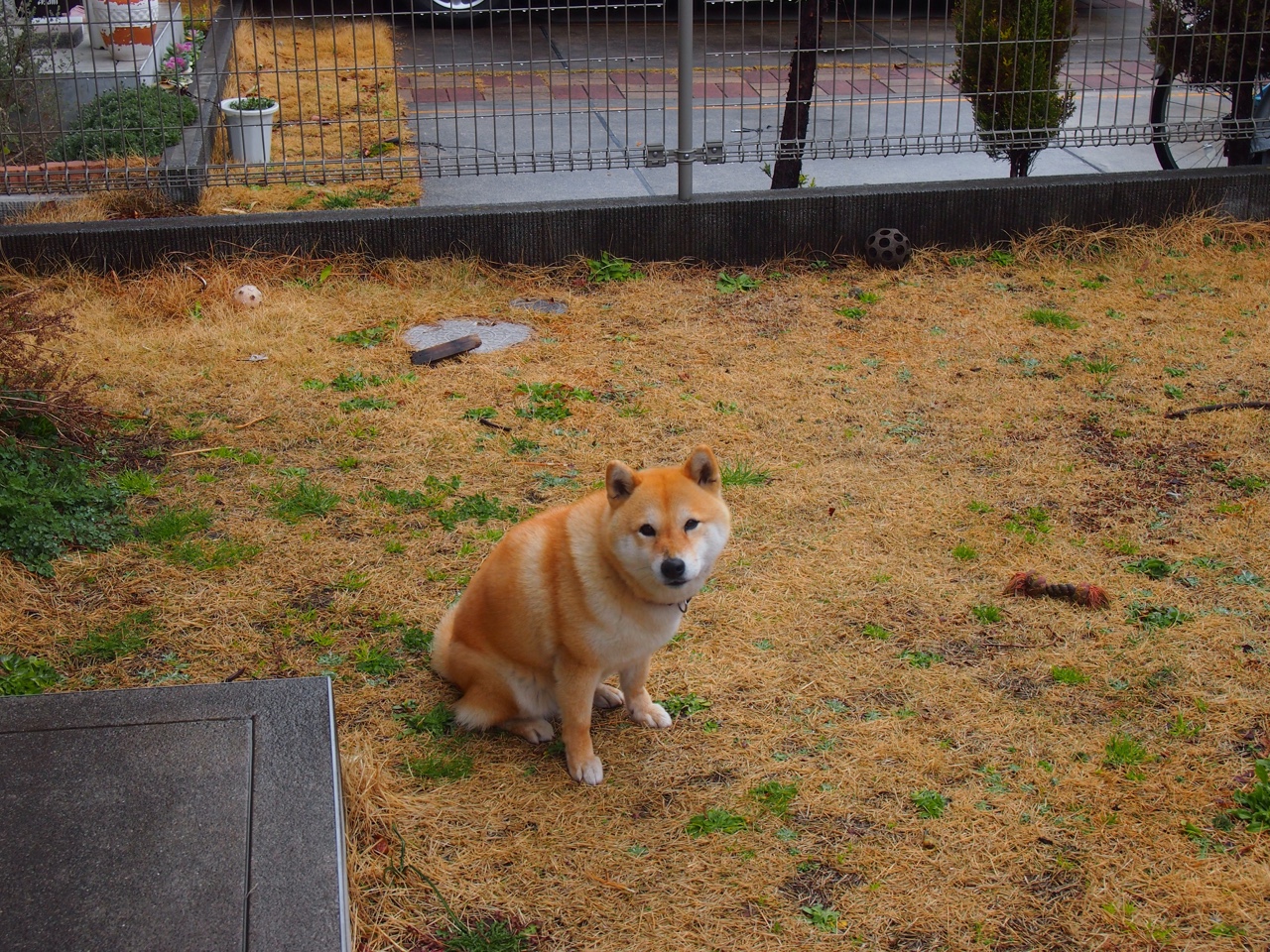 开云体育app-锡安破魔，当铁骑踏碎奥兰多魔法，一人成军定乾坤