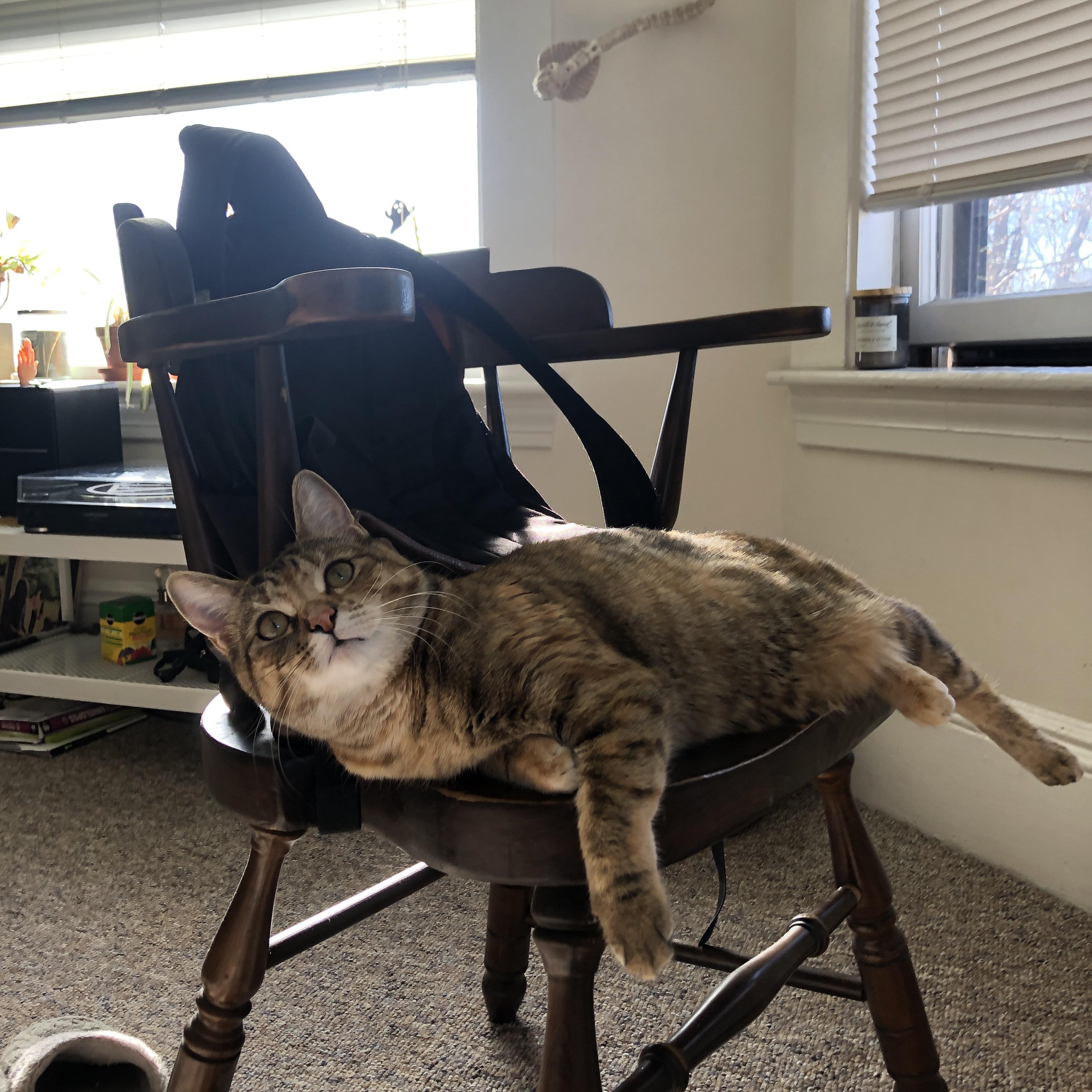 开云体育官方网站-AC米兰对阵威尔士，凯塞多持续制造杀伤的艺术